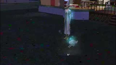 The sims 2 - creating spectral cat