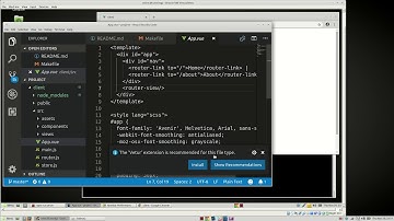 Golang - VueJS - Kubernetes - Docker - AWS [001] - Basic Vue App