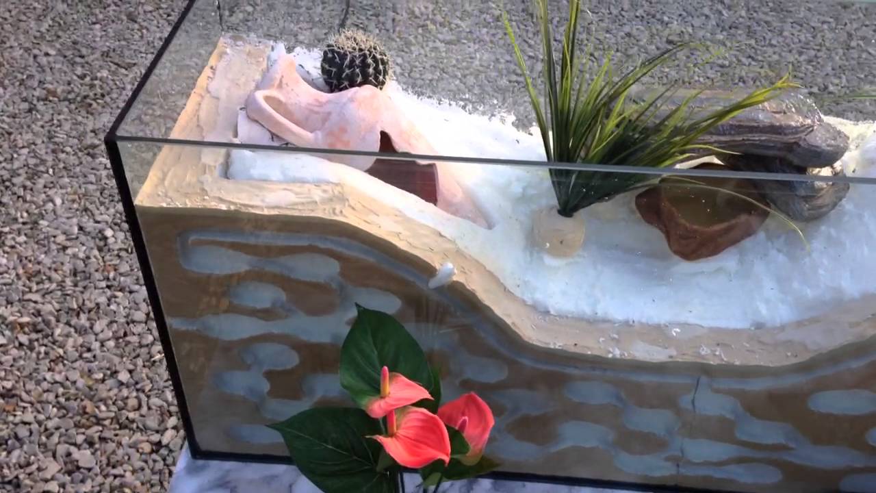 Fourmilière Maison | Ventana Blog