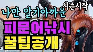 시즌시작 동해 피문어낚시 나만알기아까운 꿀팁공개!