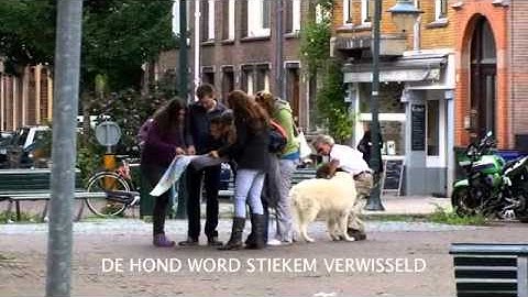 DANIELLE OVERGAAG MET DE 'BESTE GRAP' VAN NEDERLAND.....???