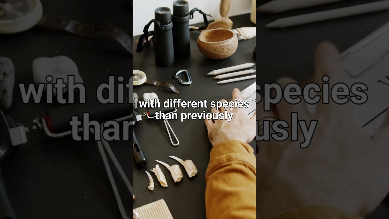 The Missing Link in Human Evolution