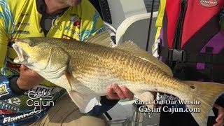 Bourgeois Fishing Charters on Castin' Cajun