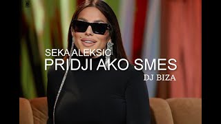 SEKA ALEKSIC - PRIDJI AKO SMES (DJ BIZA REMIX)