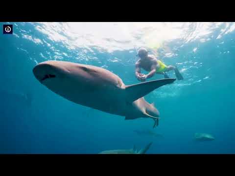 4K Maldives Summer Mix 2024 Best Of Tropical Deep House Music Chill Out By Imagine 3
