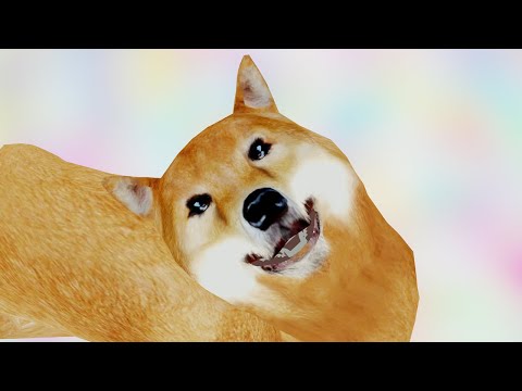 doge-boy