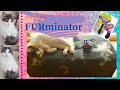 Cepillo furminator para gatos