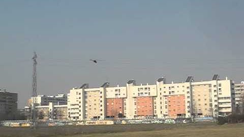 COMPASS 7HV CAMPOLASER