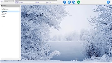 Overview of SapphireOne ERP, CRM, DMS Business Accounting Application