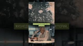 Особую уг₽#zу представляют наночастицы, способные накапливать электростатический заряд