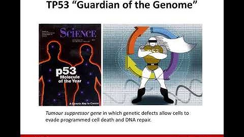 Somatic Mutations and Annotations