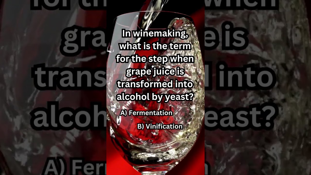 Wine Production Vol 3 Quick Quiz Question 
