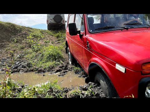 Video: Si mund ta di nëse Jeep im është 4wd?