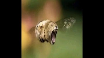 making a binary solar system in universe sandbox part 1