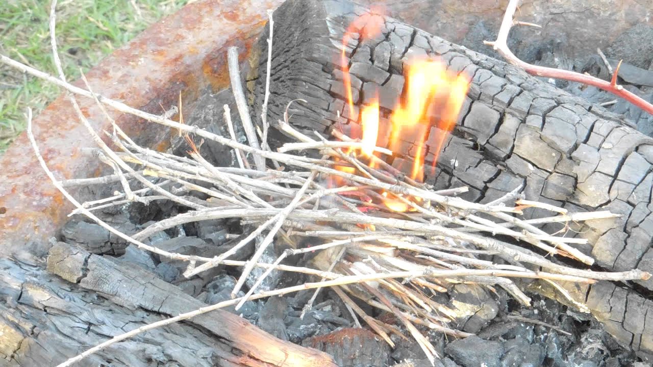 Starting a Fire with a Twig Bundle and Cotton Ball YouTube