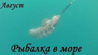 ПОЙМАЛИ 100 КГ ТРЕСКИ / CAUGHT 100 KG OF COD