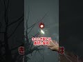 きさらぎ駅をざっくり解説【Ghostwire: Tokyo】 #Shorts