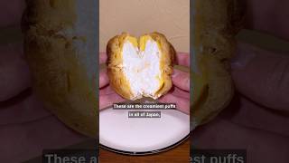 The Most Inappropriate Food In Japan