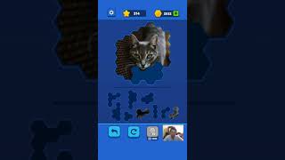 Hex Block Jigsaw - CAT 3 Level 1 - 25 Walkthrough screenshot 5