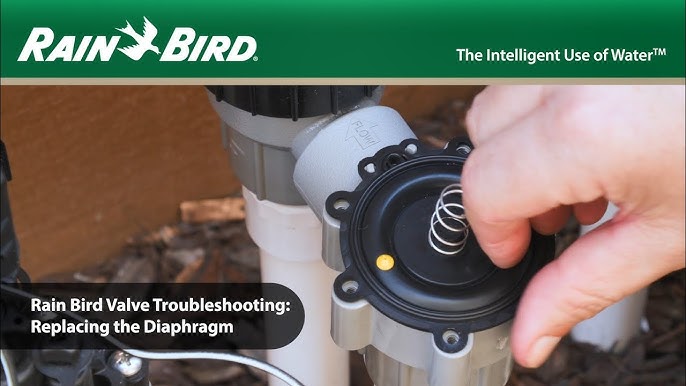 Installing A Rain Bird Residential Anti-Siphon Valve, 42% OFF