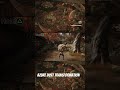 Black Myth Wukong - Azure Dust Transformation