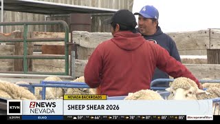 Nevada Backroads: Sheep Shear 2026