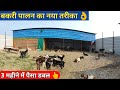 बकरी पालन का नया तरीका| how to start goat farming