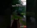 Реализм в Kingdom Come: Deliverance 2