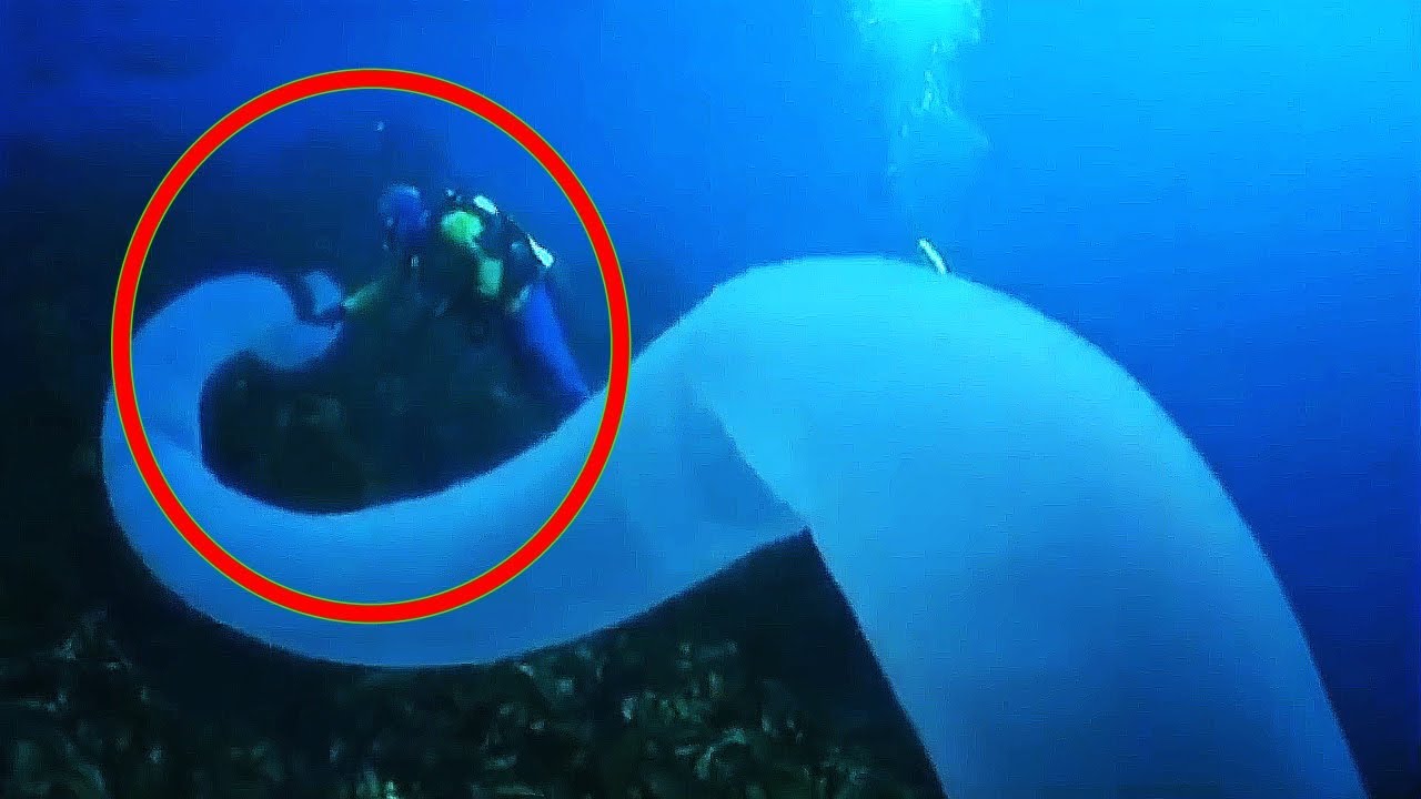 10 Ocean Phenomena You Won't Believe Actually Exist - YouTube