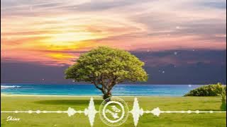 Jaslyn Edgar - Shine