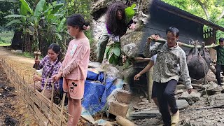 Download Lagu Hoang decided to sell the biggest pig to get money for the farm life. MP3 Download Lagu Hoang decided to sell the biggest pig to get money for the farm life. MP3