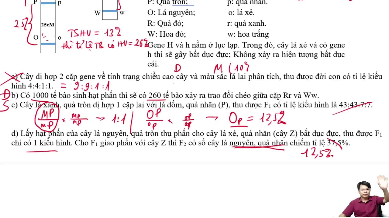 BÀI 88: ĐỀ SỐ 2