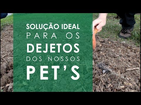 Vídeo: Compostagem de cocô de animal de estimação - As fezes de cachorro podem ir para o composto