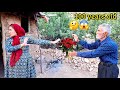 💍 An incredible proposal from a 100-year-old man to 20-year-old Farzaneh; will she accept?