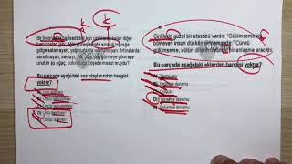 RÜŞTÜ HOCA MSÜ 2019   #rüştü hoca ile türkçe