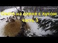 Охота с луком  на оленя, часть 3,  заключительная. цикл Жизнь охота