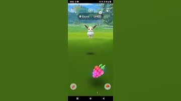 Catching my first shiny pokemon from Special research/Caught shiny Eevee but no value because C D😭.