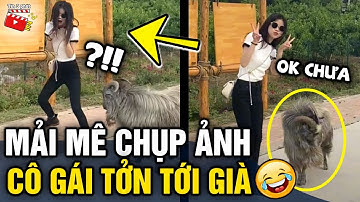 Tin 3 Phút Hài | Tổng hợp tình huống 