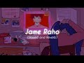 Jame Raho | Taare Zameen Par ( Slowed + Reverb )☆