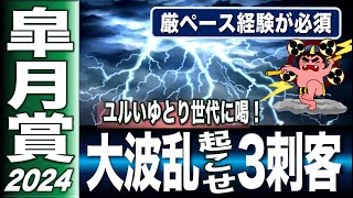 皐月賞2024　G1血統解析　ユルユルのゆとり世代？に活！　貴重な厳ペース経験の重要性　消耗戦なら大波乱も　【計算する血統】No.215