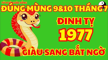 Cậu Cho Số Vàng Đinh Tỵ 1977: Mùng 9-10 Âm Hai Ngày Vàng, Vận Đỏ Đổi Đời, Lộc Gõ Cửa