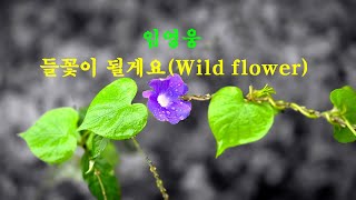 임영웅 - 들꽃이 될게요 Wild flower