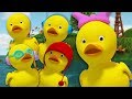 خمسة البط قليلا أغنية تعليمية الحضانة قافية أطفال الموسيقى     