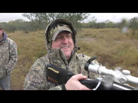 Video: Texas are kudu?