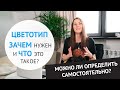 О цветотипах. Что это такое и можно ли определить самостоятельно?