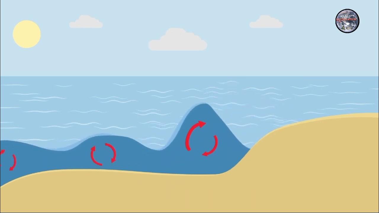 How Do Ocean Waves Work? YouTube