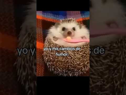 Yo y mis