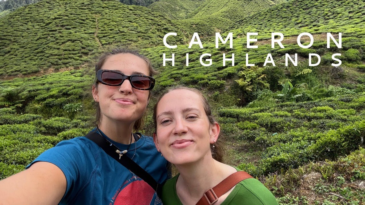 How to Spend the Perfect Day in the Cameron Highlands 🌿✨