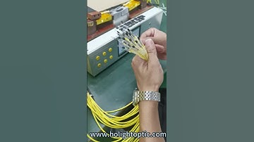 Insert Fiber into MPO Ferrule 💌 beta@holightoptic.com #InsertFiber #MPO #Fiber #PatchCords #Cables