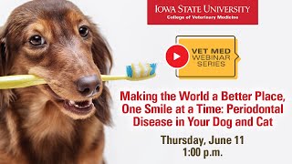 VM Webinar Dental Care for Dogs and Cats 061120 screenshot 5